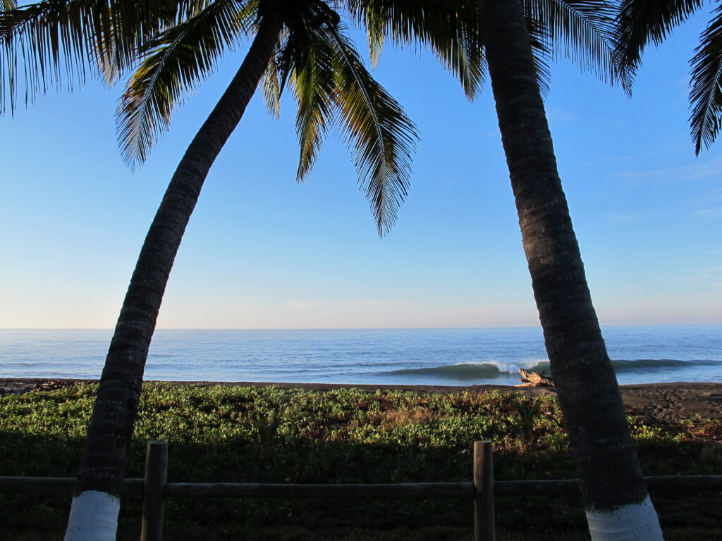 Morning view of beach with palm trees